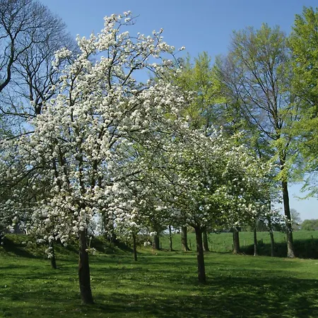 Normannisches Mit Charme Les Chataigniers 1 By Interhome * Bretteville-du-Grand Caux