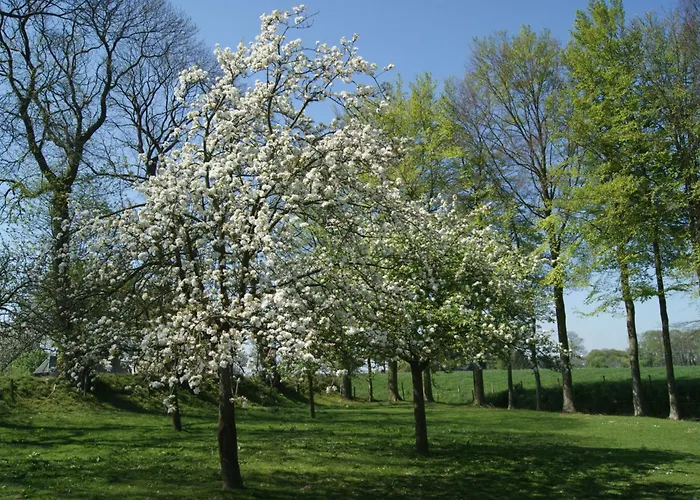 Normannisches Mit Charme Les Chataigniers 1 By Interhome * Bretteville-du-Grand Caux