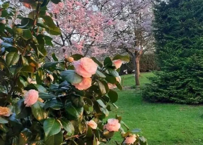 Normannisches Mit Charme Les Chataigniers 1 By Interhome Tatil Evi